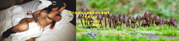 бошки Абаза