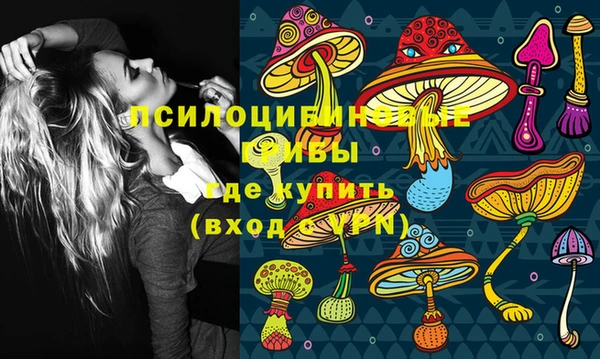 Альфа ПВП Абдулино