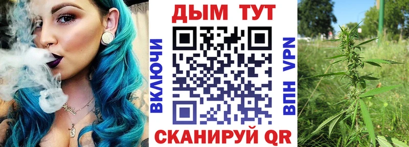 что такое   Нальчик  Бошки Шишки VHQ 